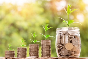Asset Management Companies